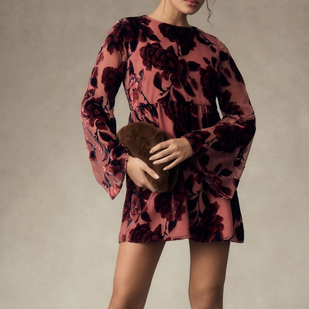 Hutch long sleeve velvet mini dress